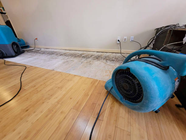 Professional Water Damage Repair technician working in McDade, TX